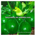 Chinese Sweetnest Hybrid F1 Good Flavor Green Peel Pumpkin Seeds For Planting